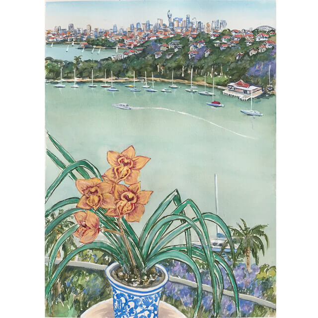 Tangerine Orchid Mosman, 57/77, watercolour on paper
